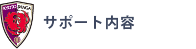 サポート内容